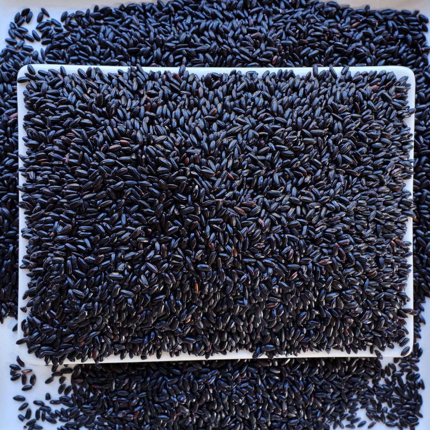 Khao Niew Dam - Thai Black Sticky Rice on a white background