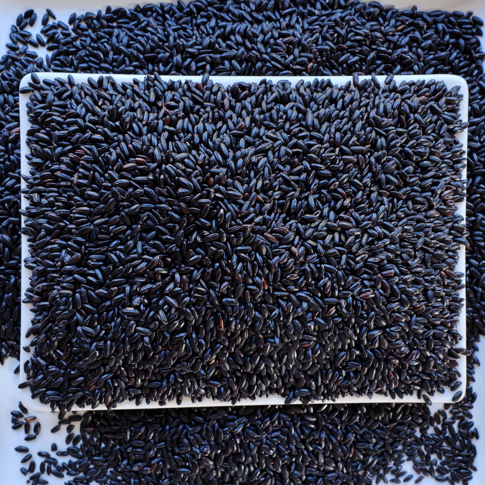 Khao Niew Dam - Thai Black Sticky Rice on a white background