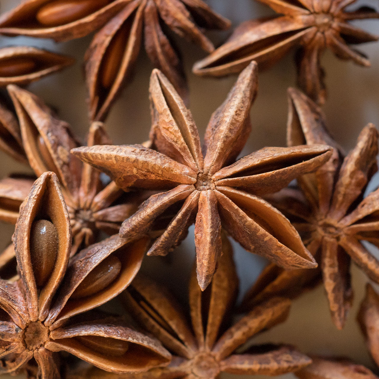 Star Anise