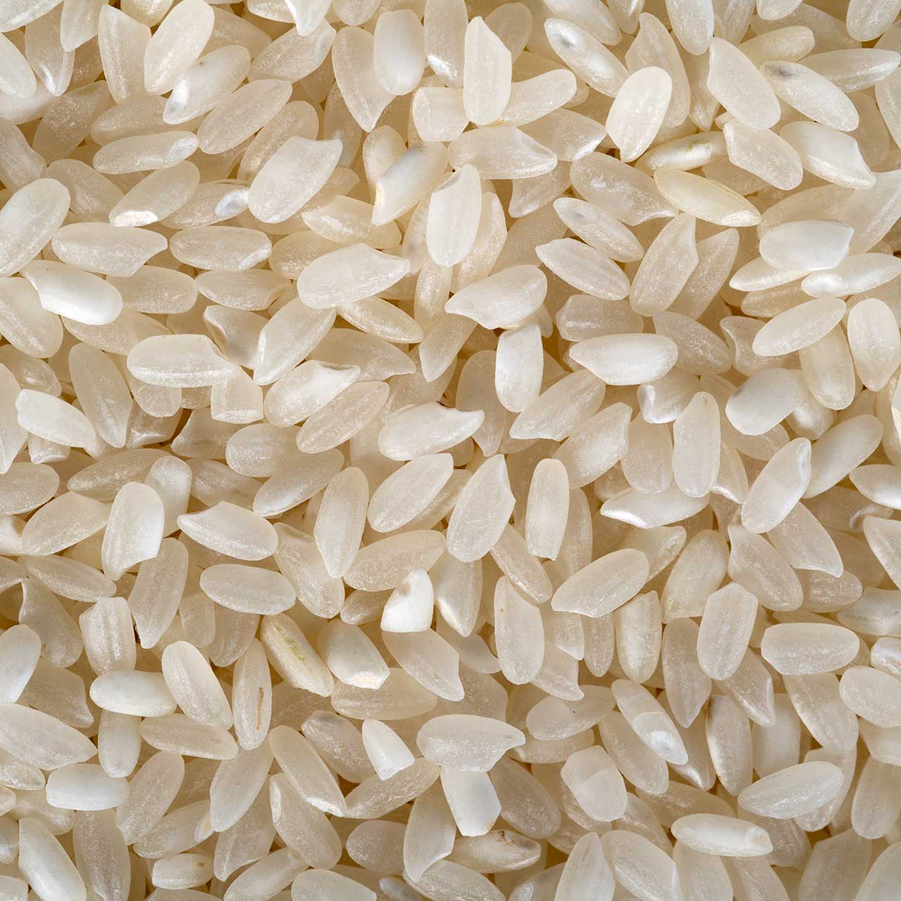Koda Farms Kokuho Rose Sushi Rice