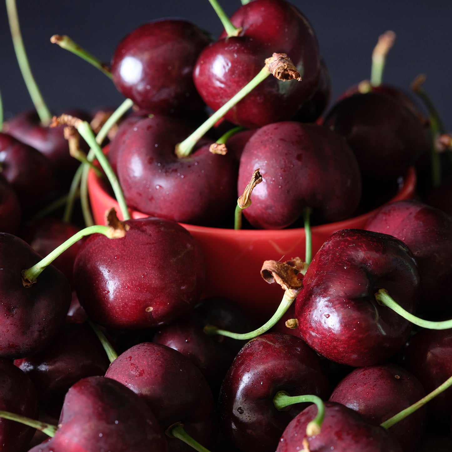 Fresh Sweetheart Cherries - 5 pound box