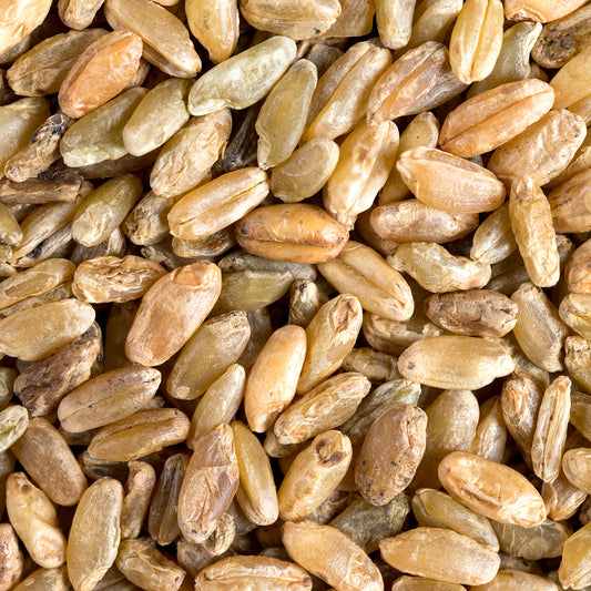 Whole Grain Freekeh