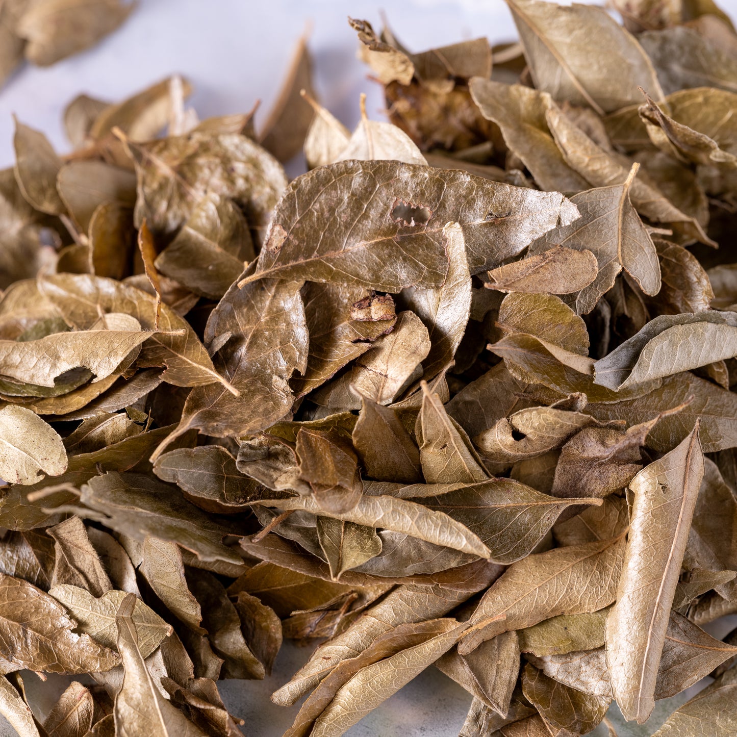 Dried Whole Curry Leaves