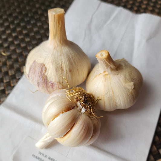 Redneck Wild Organic Hardneck Garlic