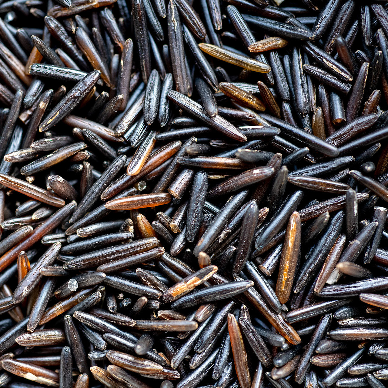 McKenzie Family Farms Organic Wild Rice