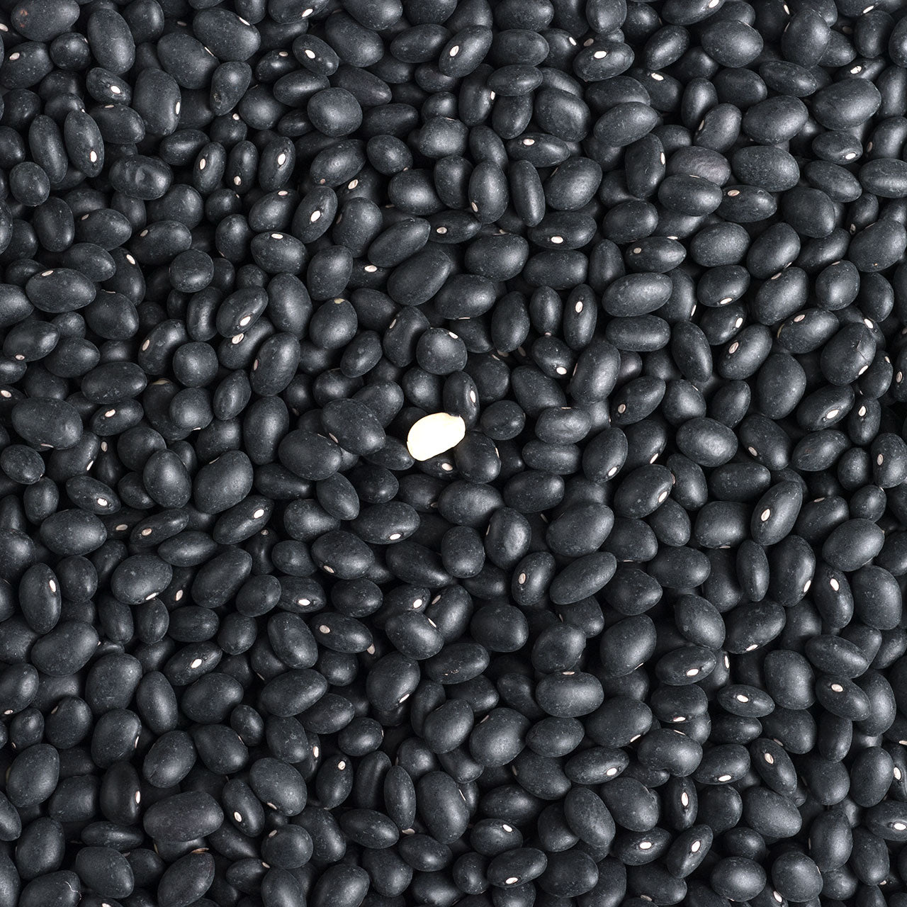 Black Turtle Beans - FA Certified
