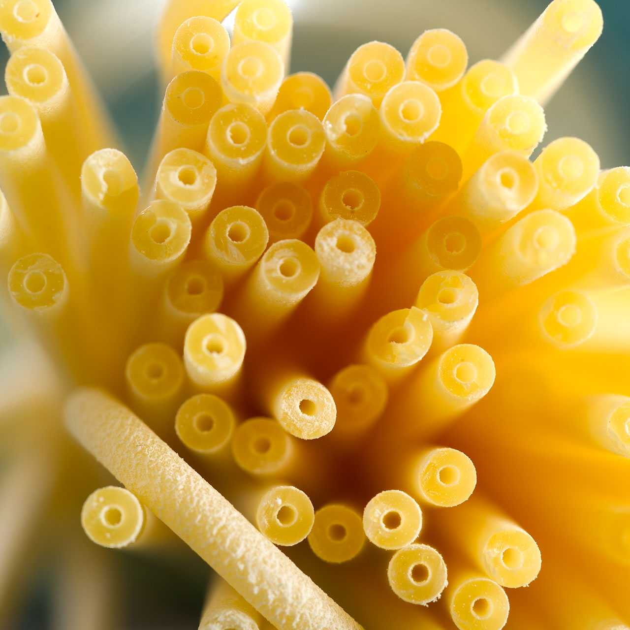 Bucatini Pasta - Sapori di Napoli