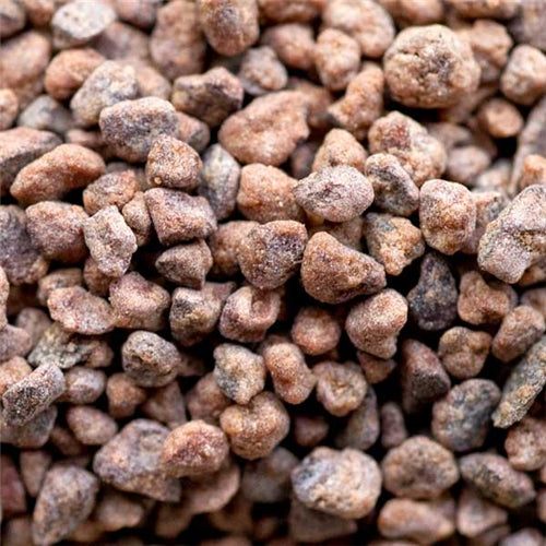 Cocoa Nibs Caramelized