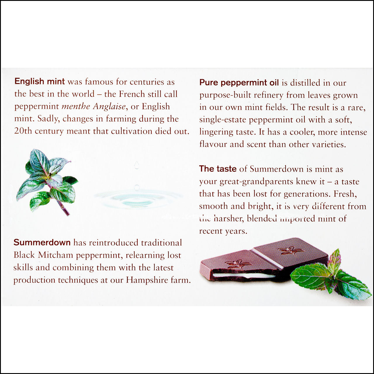 Summerdown Mint Chocolate Peppermint Crisps