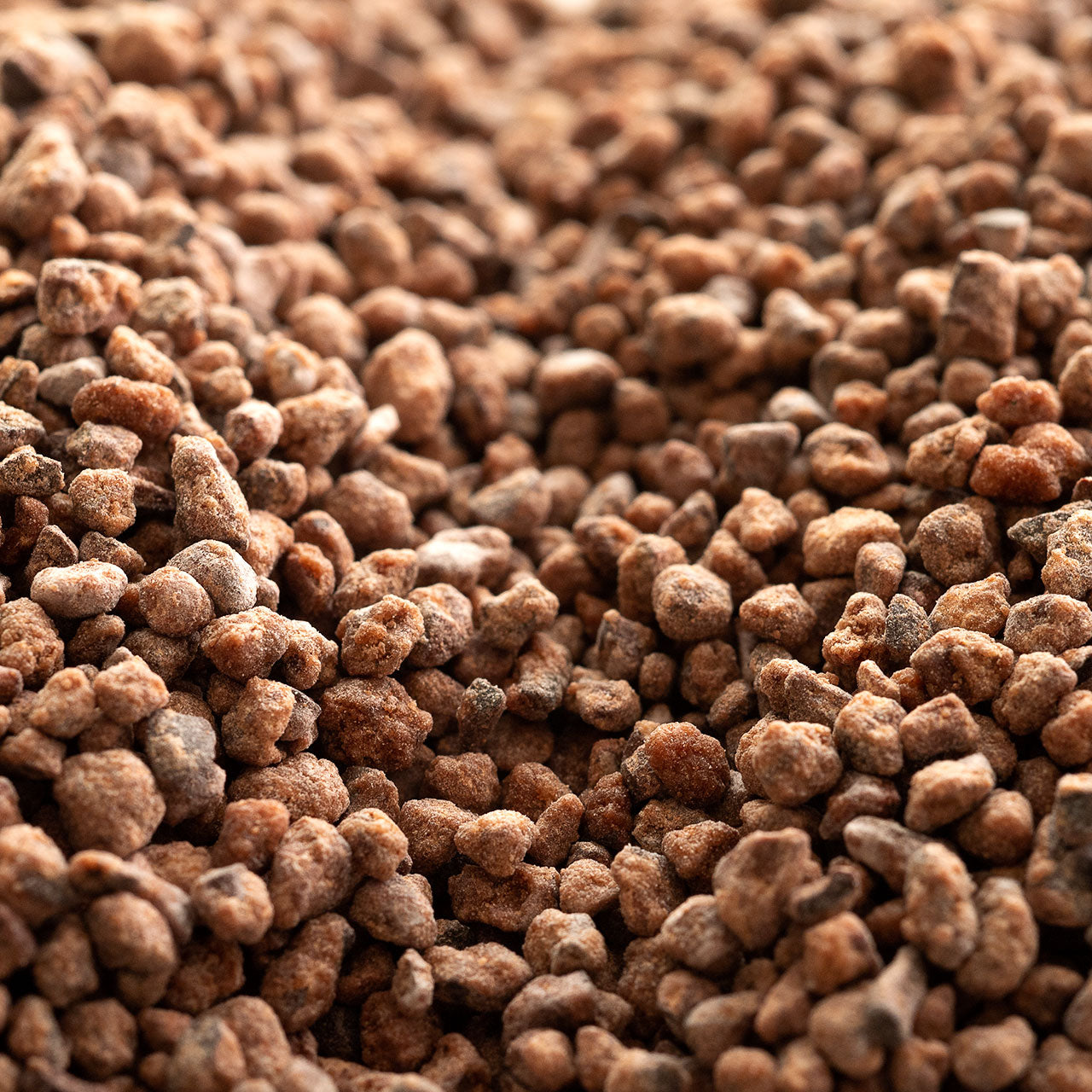 Cocoa Nibs Caramelized