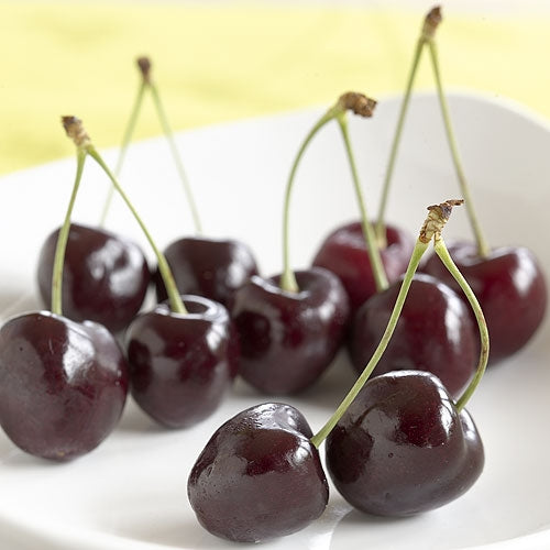 Lapin cherry