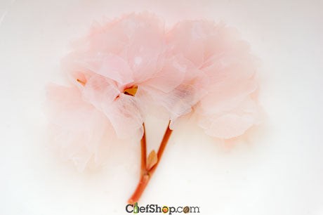 Salted Cherry Blossoms (Sakura)