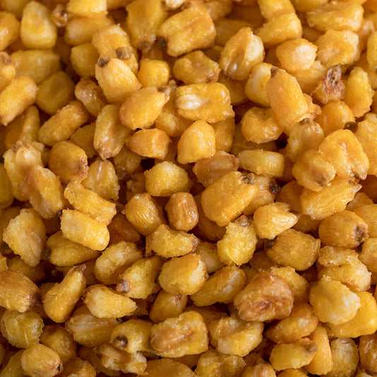 Toasted Corn - 5-pounds