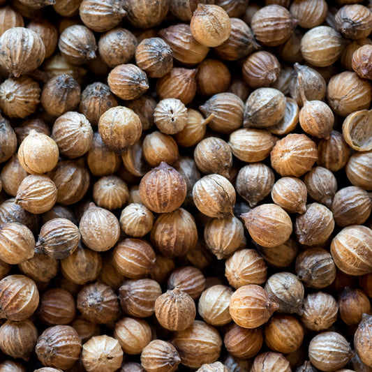 Organic Whole Coriander